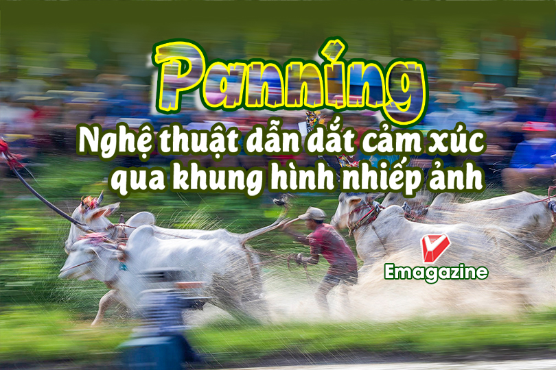 Panning - Nghệ thuật dẫn dắt cảm xúc qua khung hình nhiếp ảnh