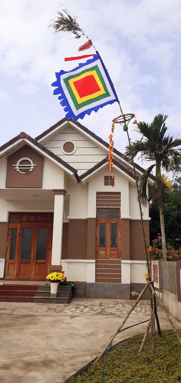  C&acirc;y n&ecirc;u  ở một nh&agrave; d&acirc;n  huyện Triệu Phong  - Ảnh: TA