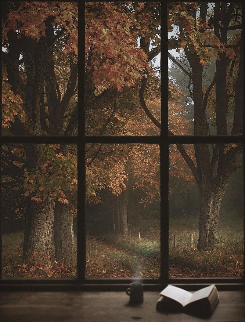   Sách và cà phê một ngày thu lạnh - nguồn: Theslowtraveller