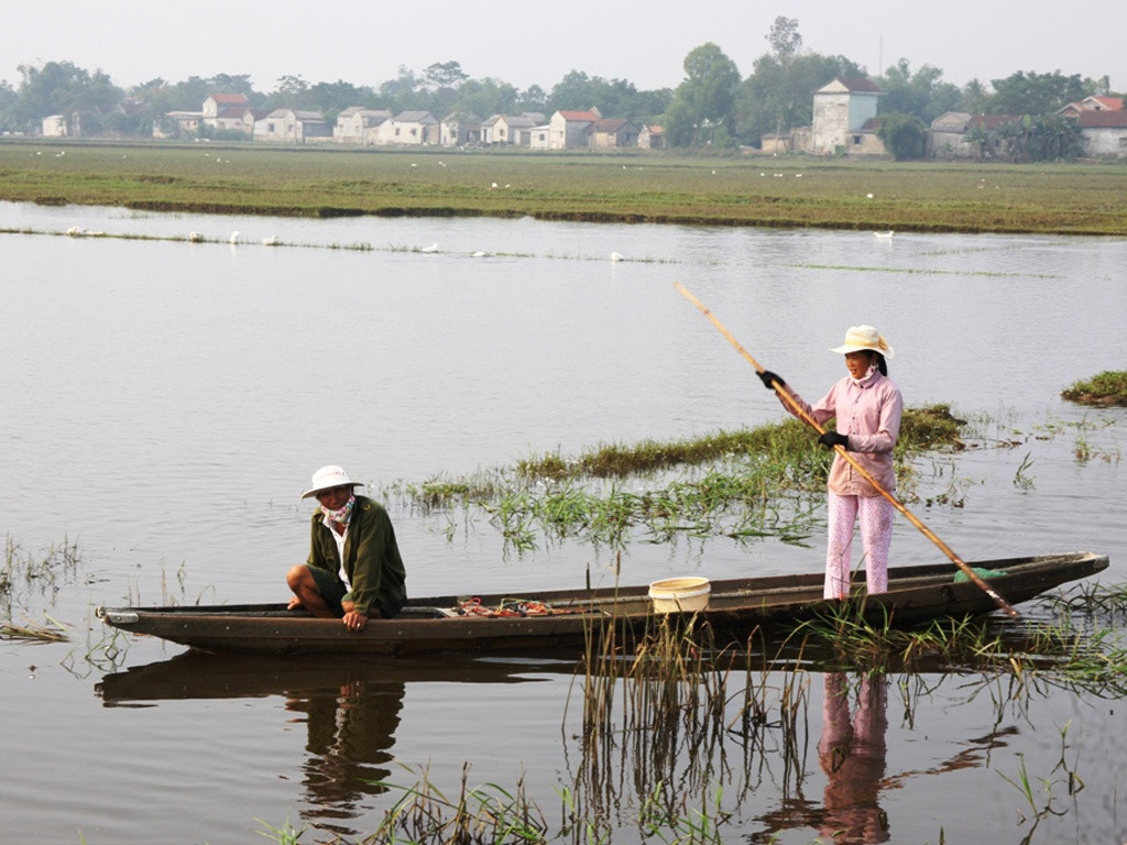C&aacute;nh đồng Di&ecirc;n Sanh m&ugrave;a nước bạc - Ảnh: C.N