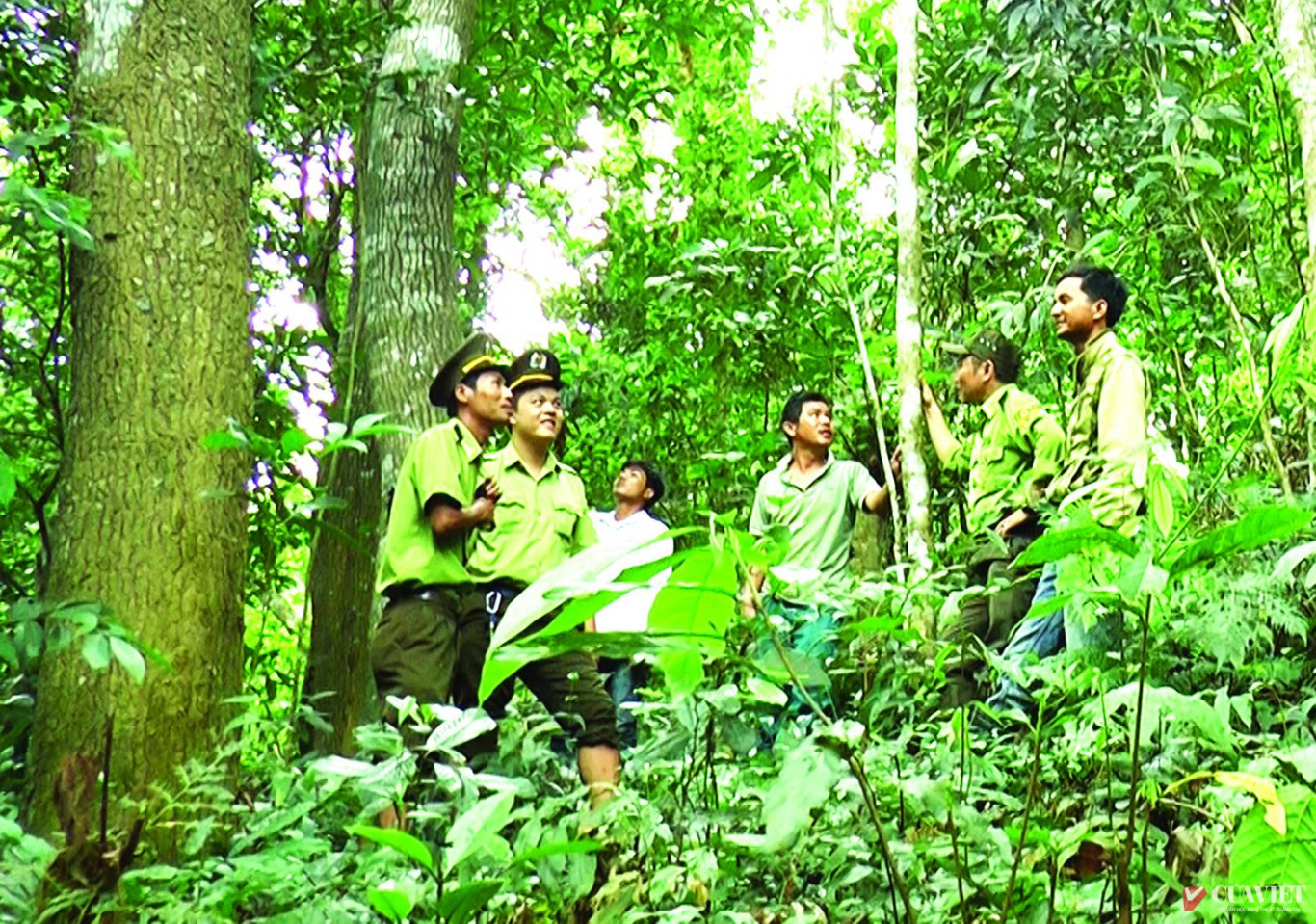 Kiểm l&acirc;m Quảng Trị tuần tra rừng - Ảnh: L.Q.H