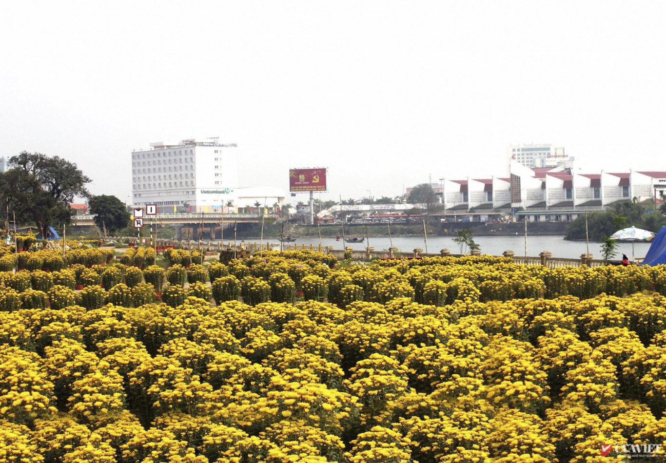 Chợ hoa An Lạc b&ecirc;n bờ s&ocirc;ng Hiếu - Ảnh: Thanh Thoan