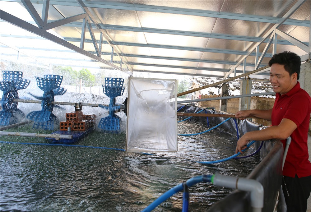 Tỉ ph&uacute; nu&ocirc;i t&ocirc;m tr&ecirc;n c&aacute;t Ho&agrave;ng Thế Vinh - Ảnh: Hưng Thơ