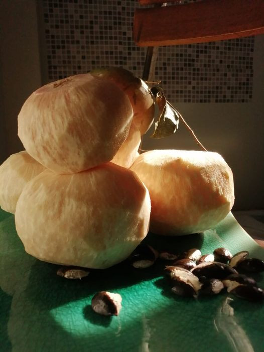 M&oacute;n mứt v&uacute; sữa được mọi người ưa chuộng