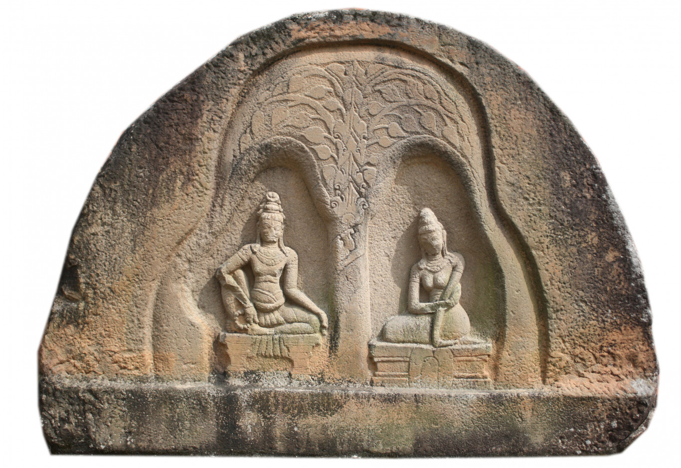 Mặt trước Ph&ugrave; đi&ecirc;u l&aacute; nhĩ Tr&agrave; Li&ecirc;n 2