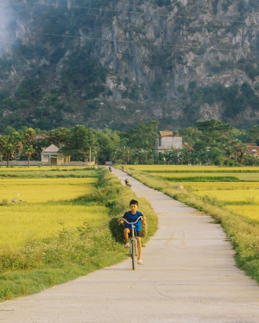 Chạy đồng cắt cỏ. Ảnh: Cáp Lộc Hàn Vũ