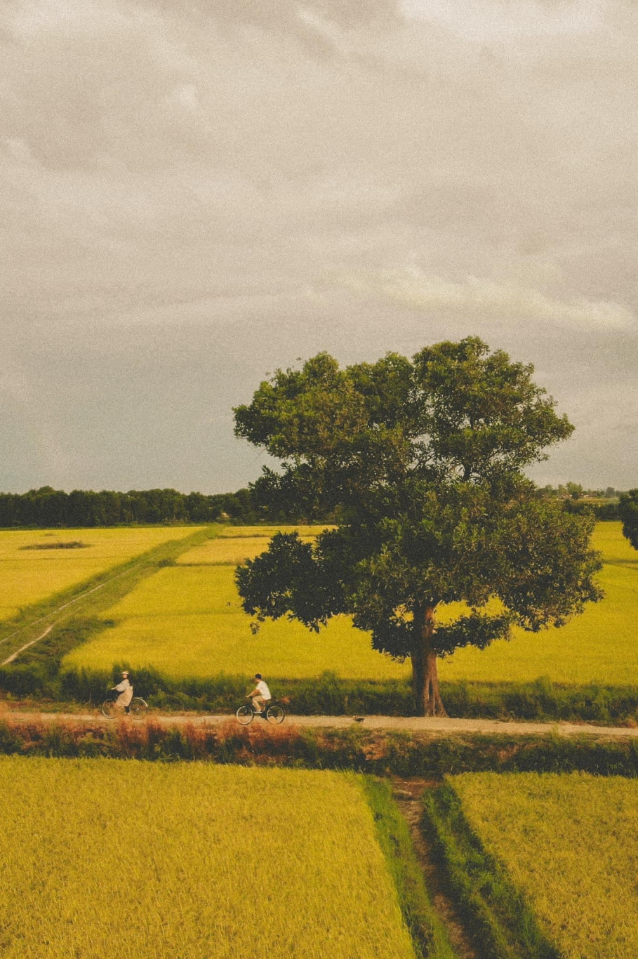 L&agrave;ng qu&ecirc; b&igrave;nh dị th&acirc;n thương - Ảnh: Trần Minh Hiếu