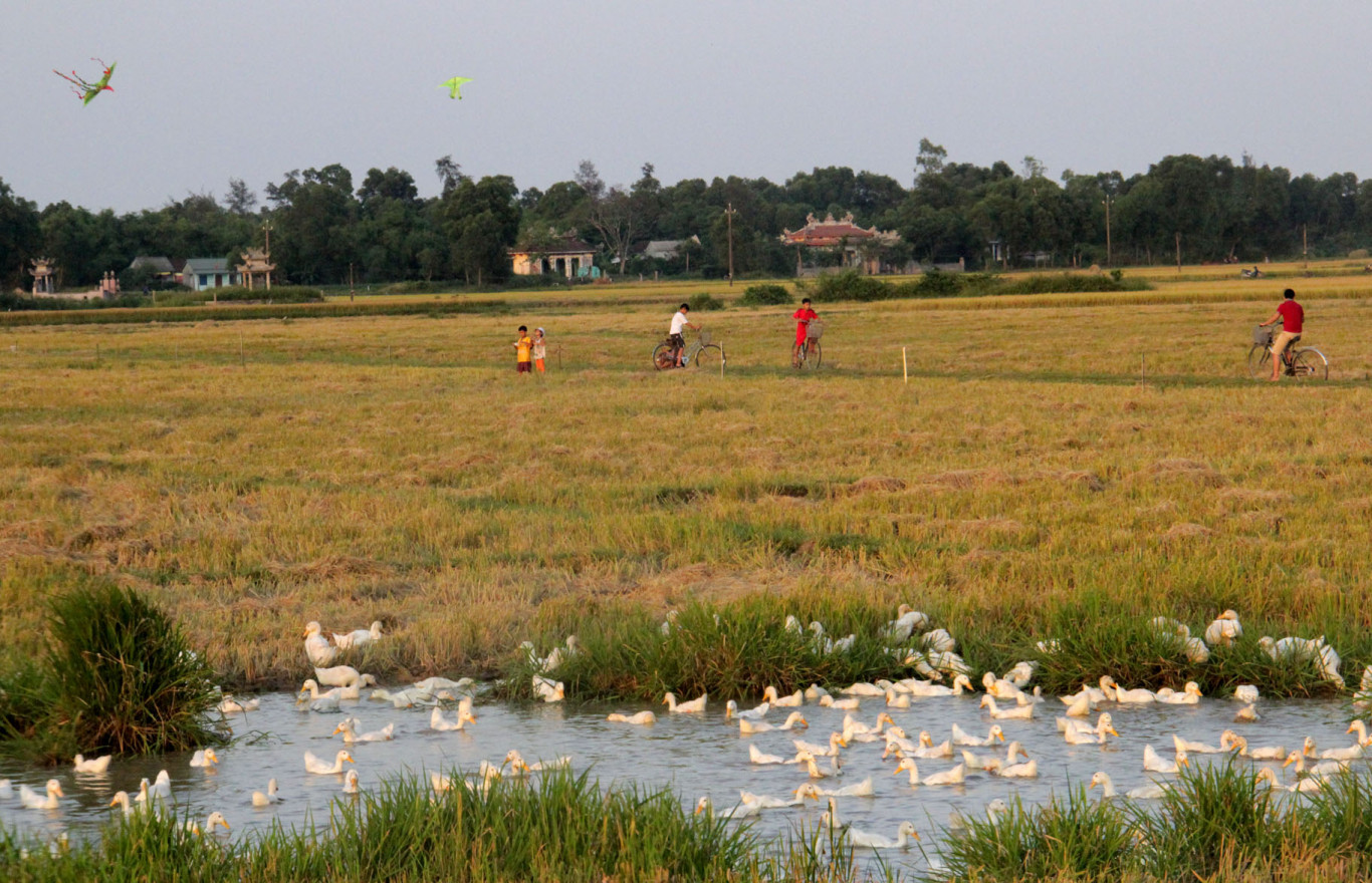 Chiều qu&ecirc; - Ảnh: T.T