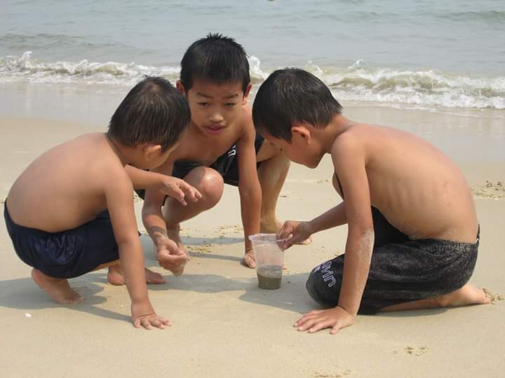 Bắt c&ograve;ng tr&ecirc;n c&aacute;t biển - Ảnh: H.H.L